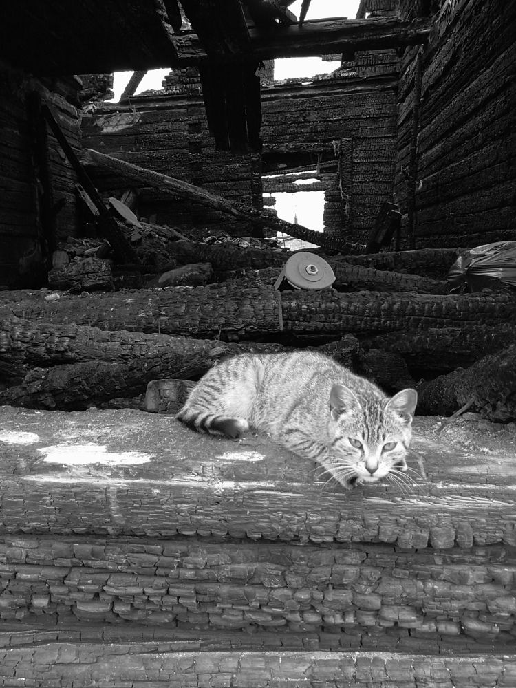 Охранник/ security guard
