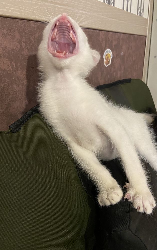 Photograph by Юлия Зеленева