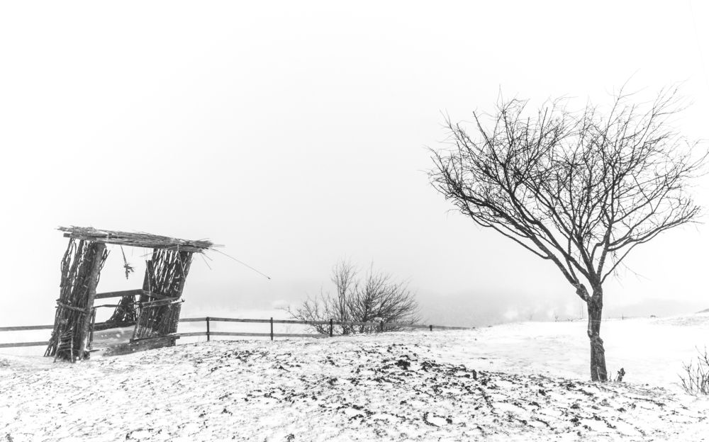 Зимняя пустошь / Winter Wasteland