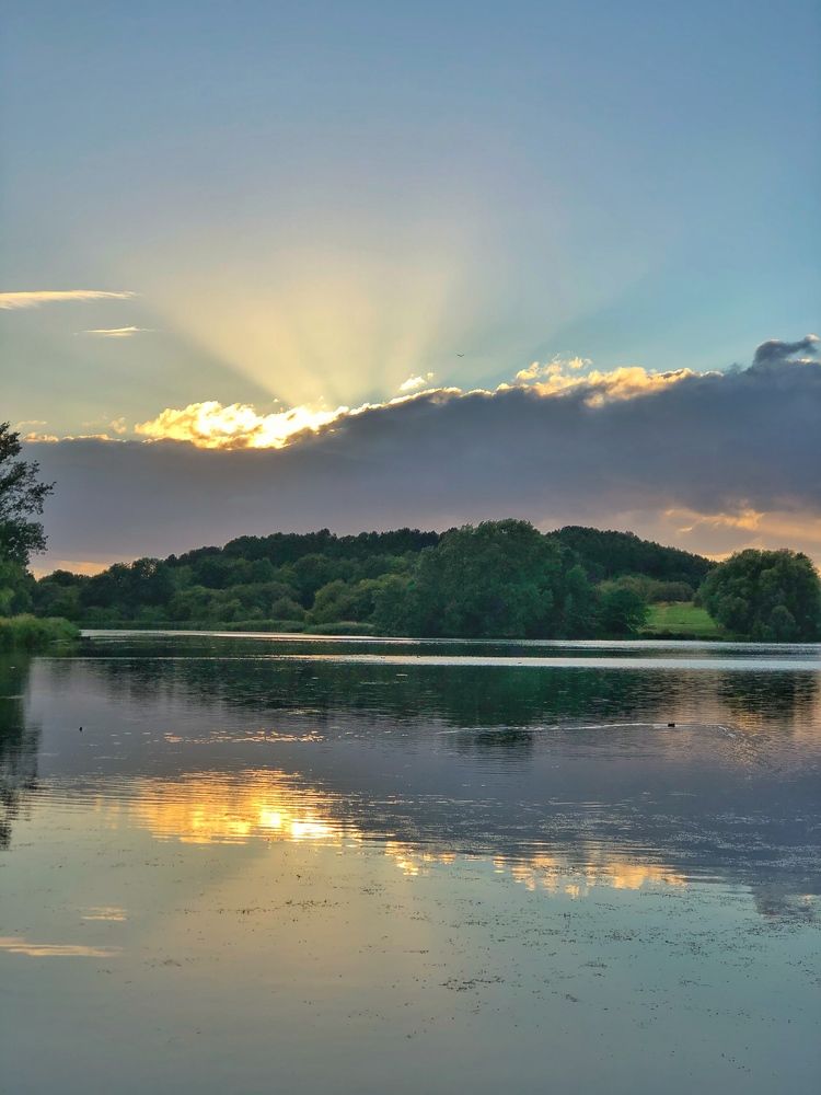 Photograph by Lila Sabbaghian Rad