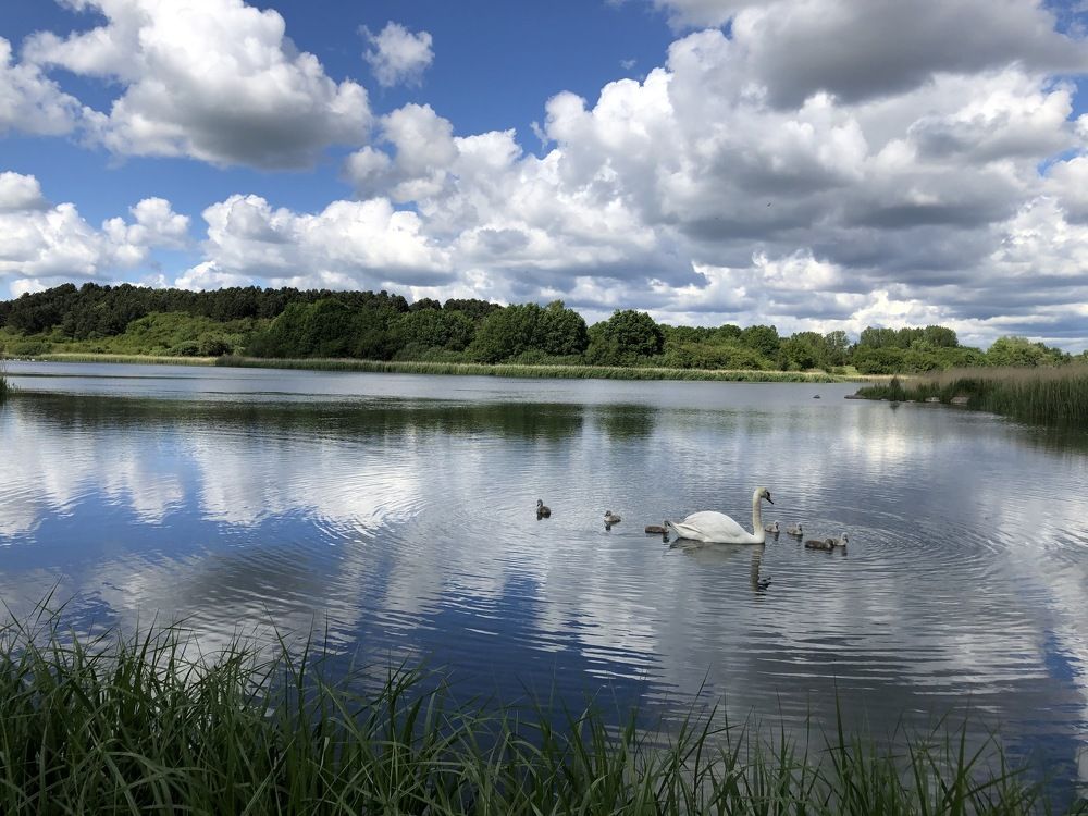 Photograph by Lila Sabbaghian Rad