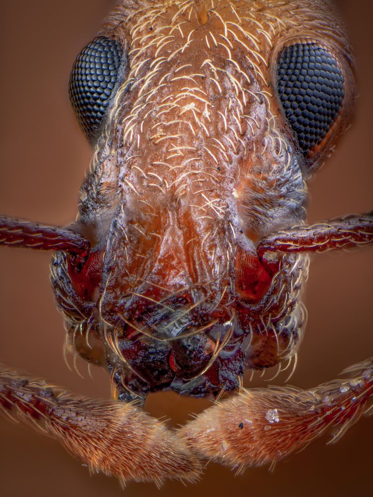 Photograph by Hall Stefanie