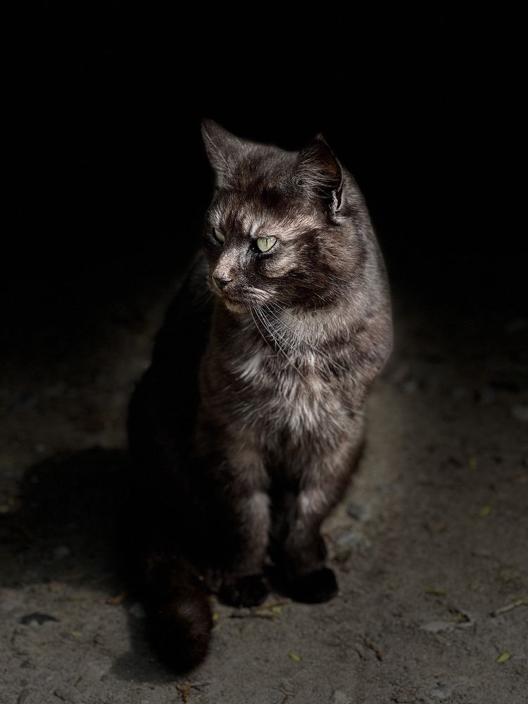 Photograph by Lila Sabbaghian Rad