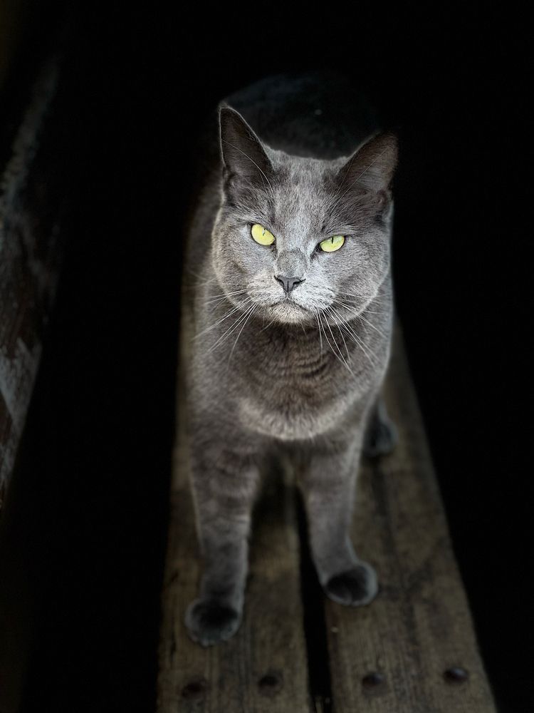 Photograph by Lila Sabbaghian Rad