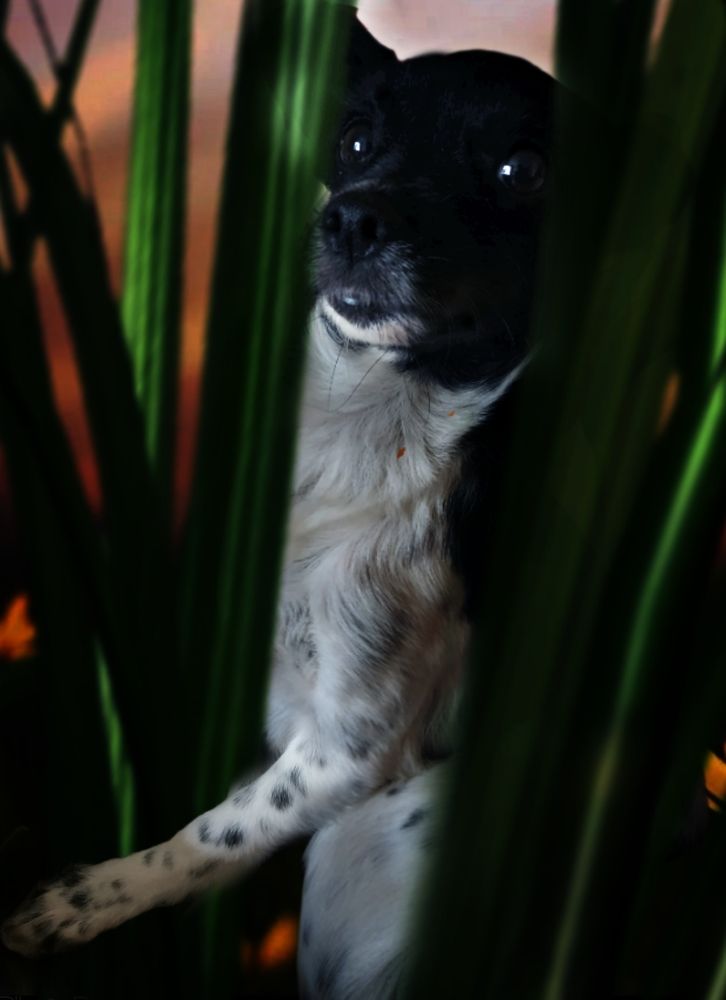 Photograph by Ирина Прокопенко