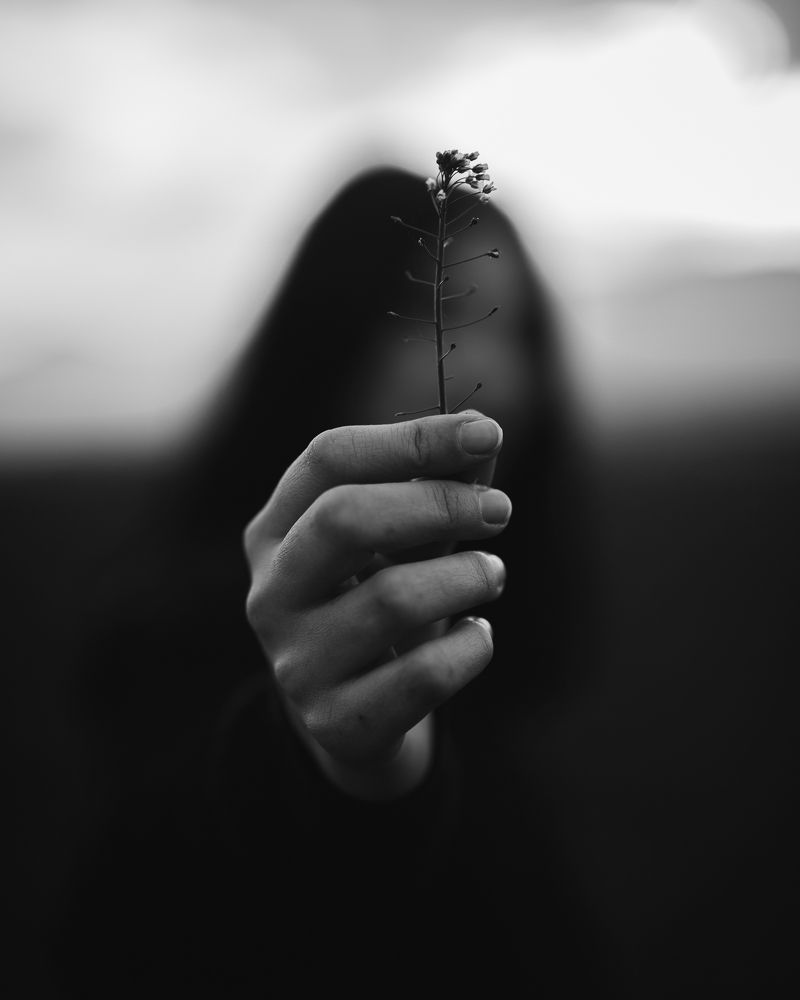 Фотография автора Jakub Zvedela