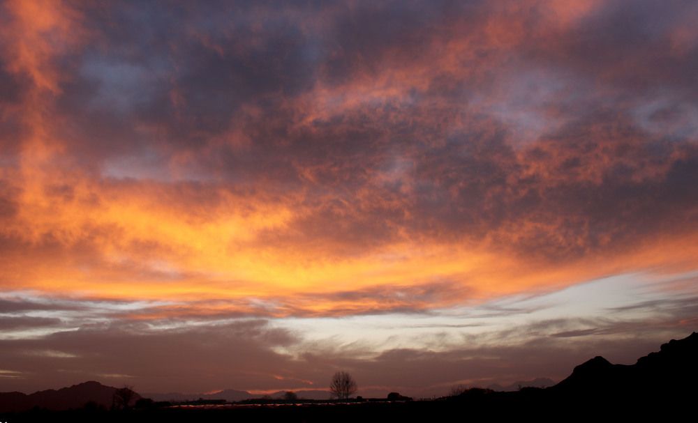 Photograph by safoura asghari