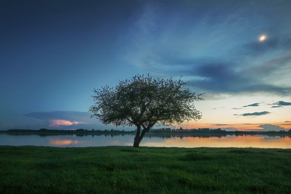 Photograph by Павел Абакумов