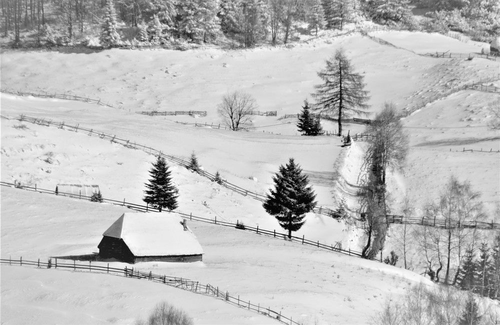 Photograph by flavius oprea