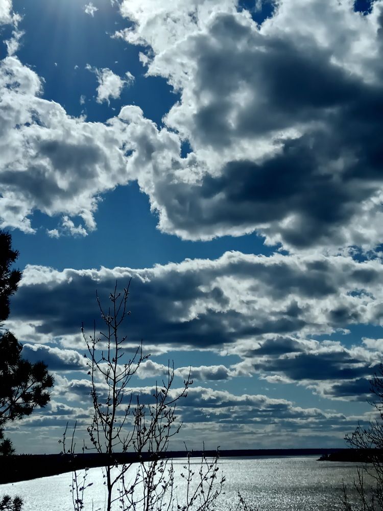 Photograph by НИНА АВЕРЬЯНОВА