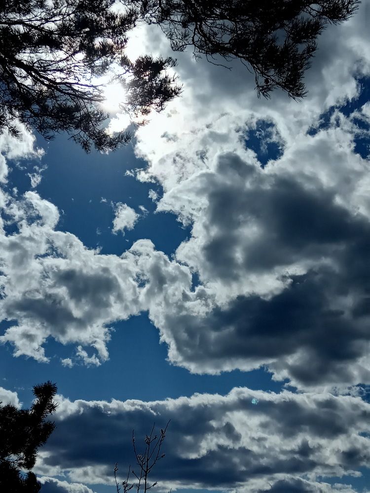 Photograph by НИНА АВЕРЬЯНОВА