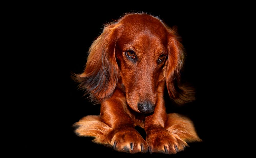 Photograph by Evgeniia Iakimenko