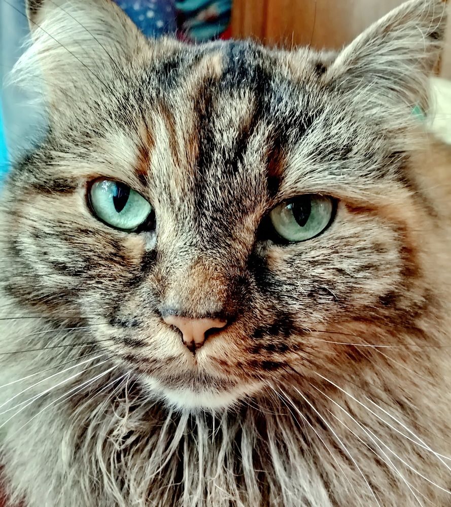 Photograph by НИНА АВЕРЬЯНОВА