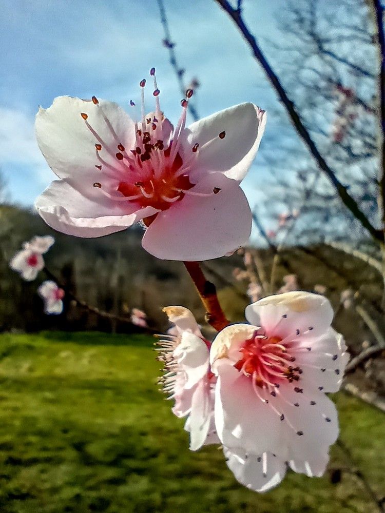 Photograph by Darko Milojevic