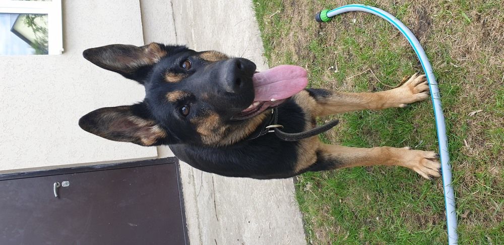 Photograph by Tatiana Denisova