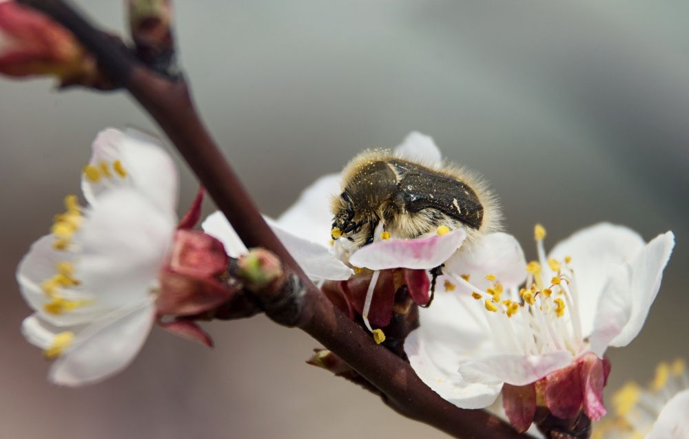 Photograph by Наталья Быстрая