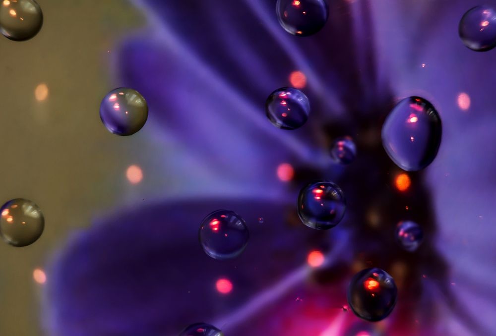 Photograph by Наталья Быстрая