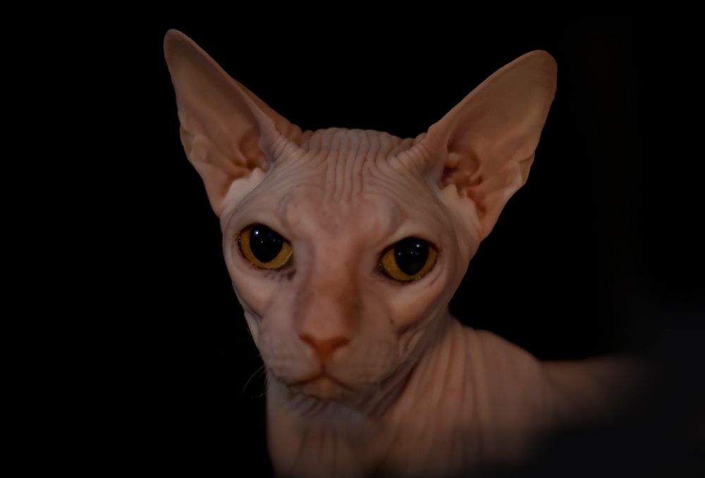 Photograph by Evgeniia Iakimenko