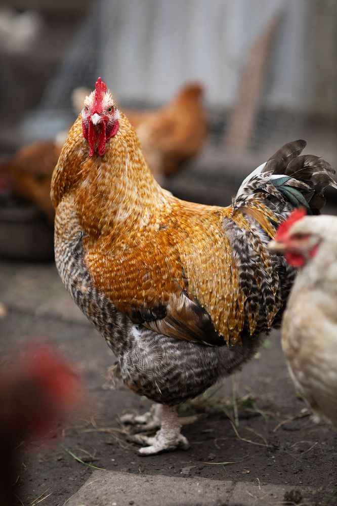 Photograph by Екатерина Каменцева