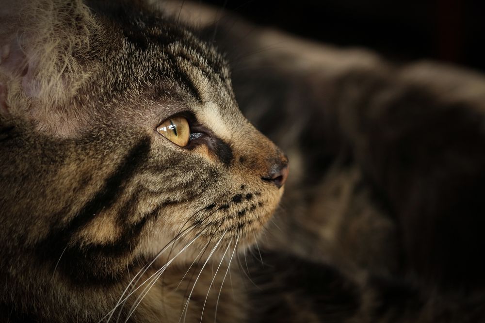 Photograph by Екатерина Каменцева