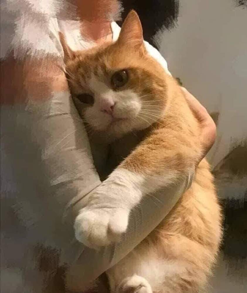 Фотография автора Сергей Зиньковский