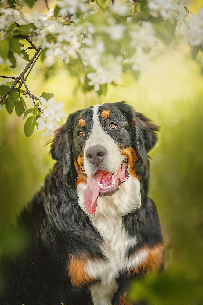 Photograph by Ксения Лысенкова