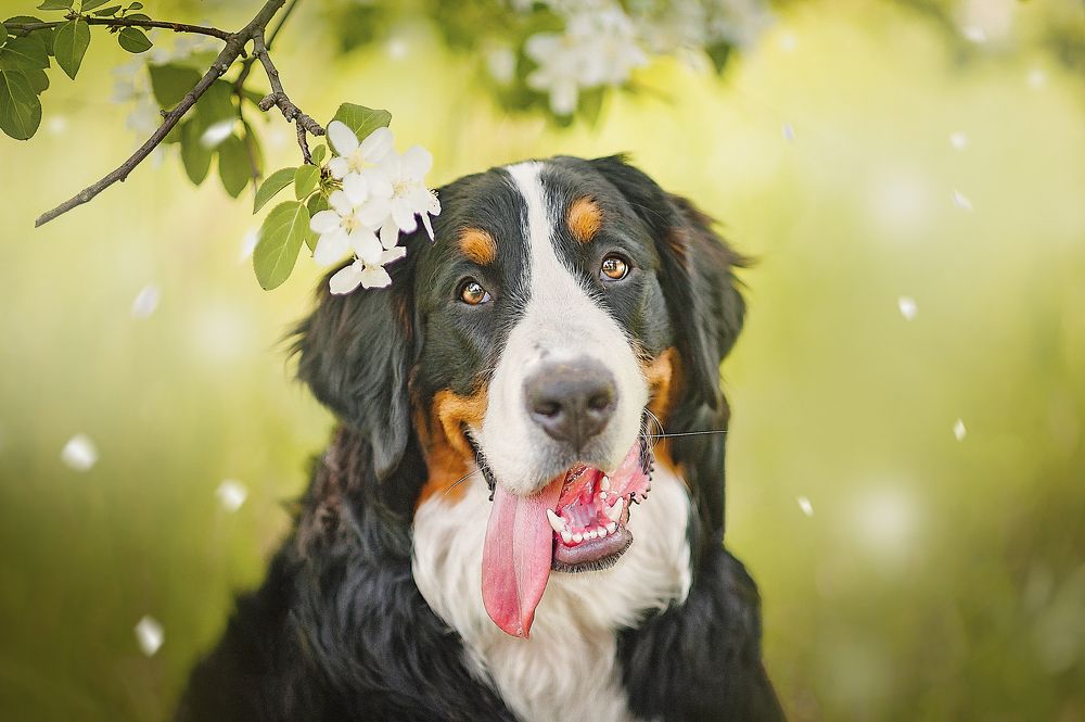 Photograph by Ксения Лысенкова