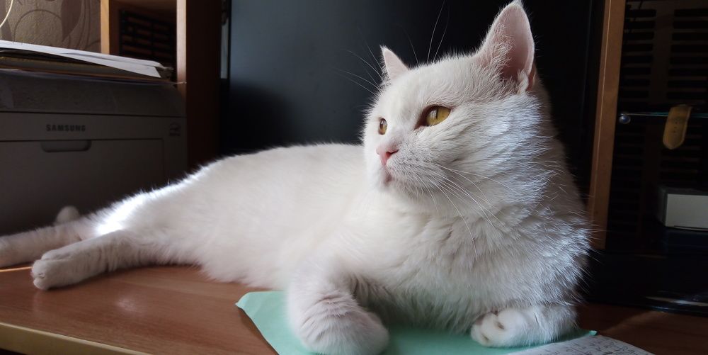 Photograph by Иван Кирилков