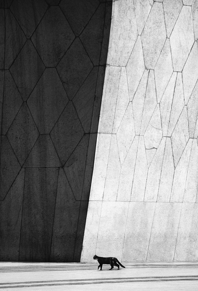 Photograph by Mohammad Dadsetan