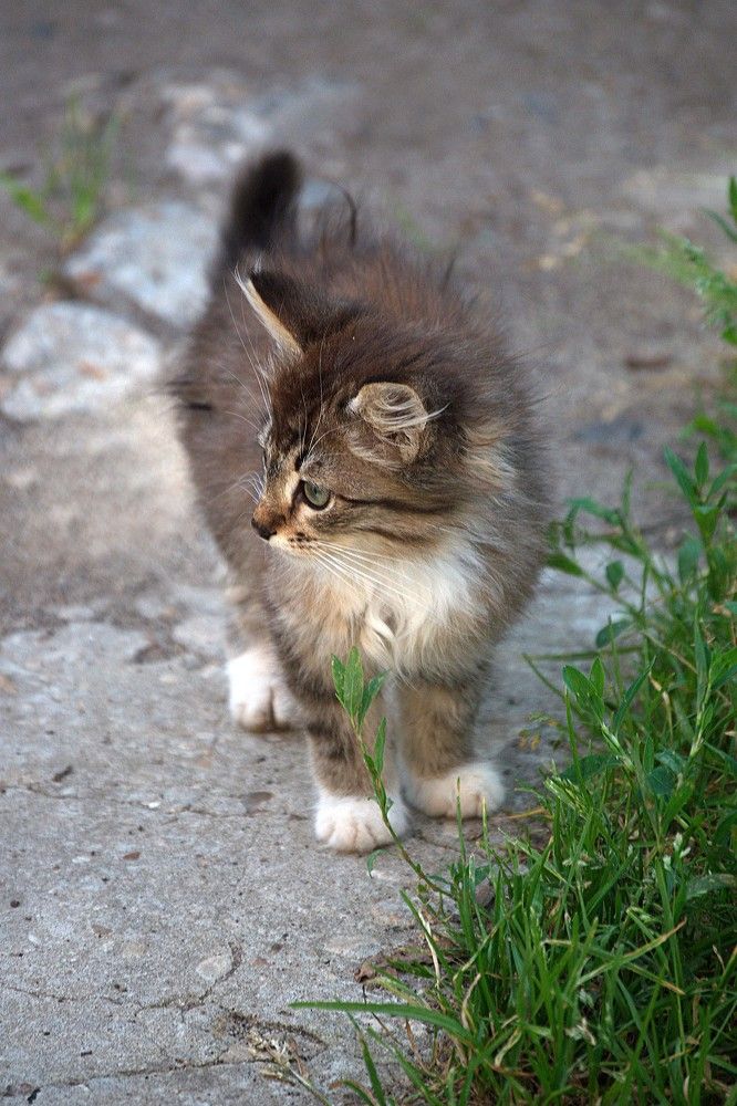 Photograph by Yroslava Veretina