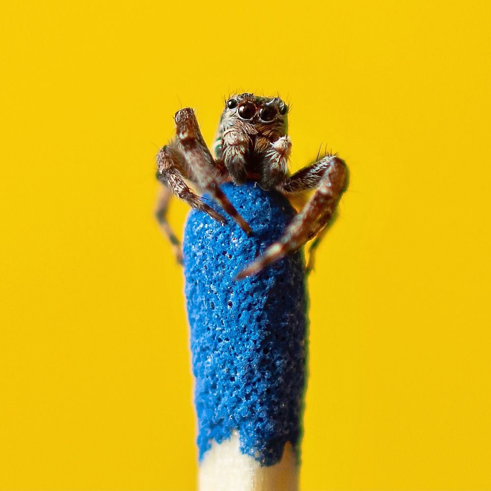 Photograph by SUSANA PEÑALOSA