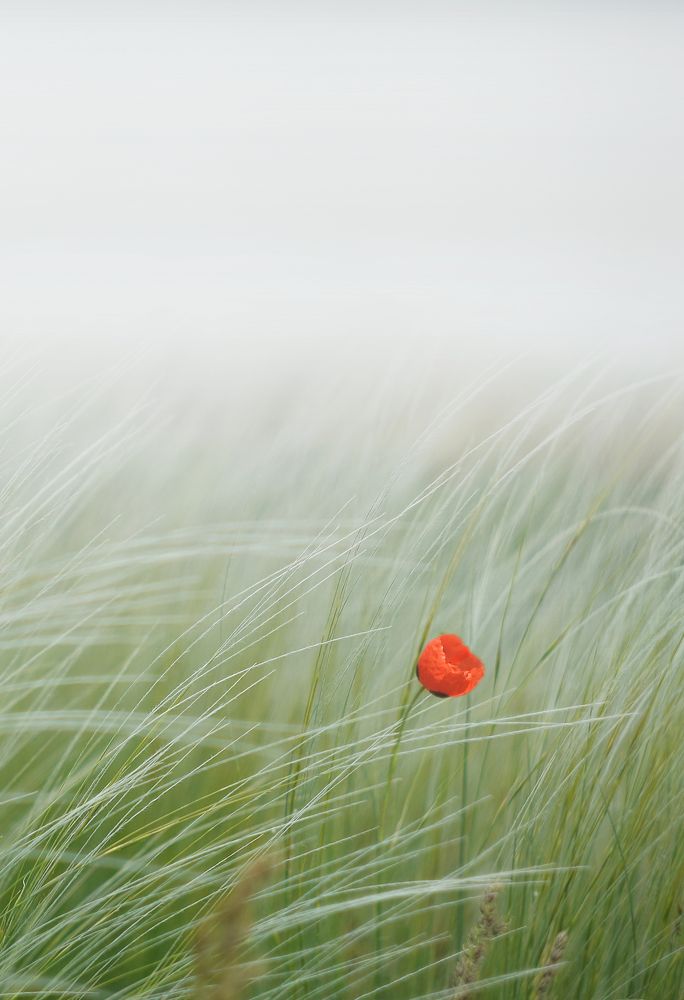 Невесомость