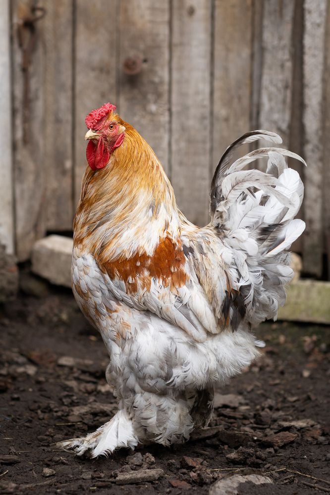 Photograph by Екатерина Каменцева