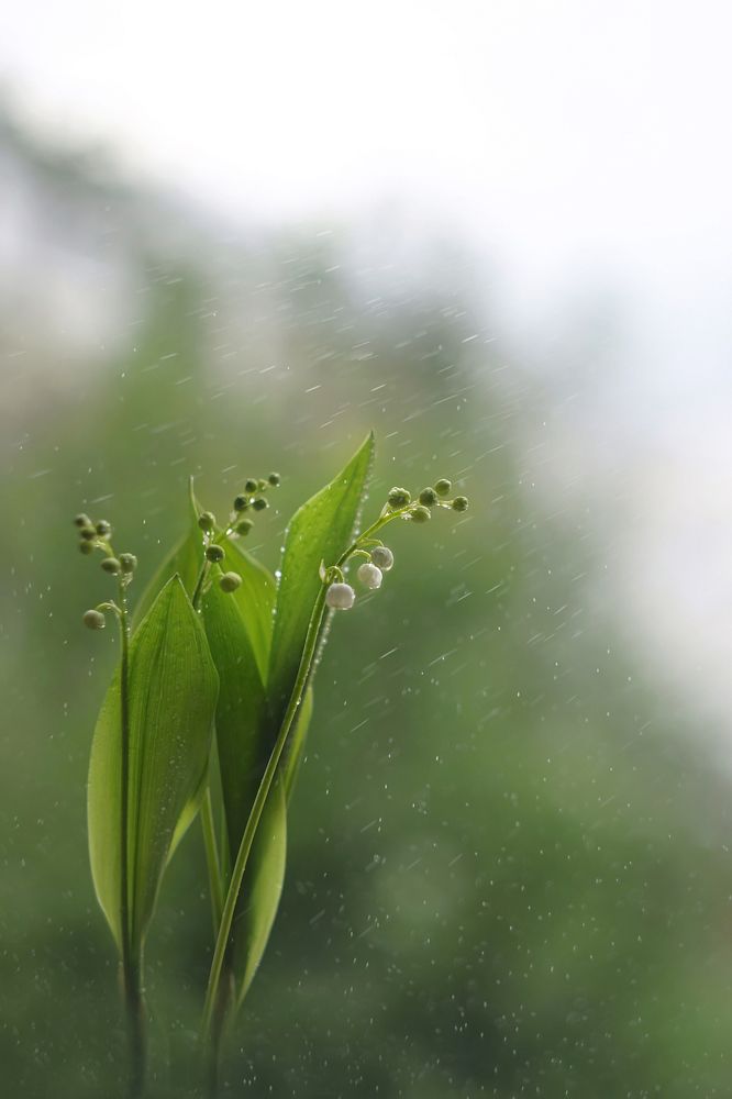 Привет, май!
