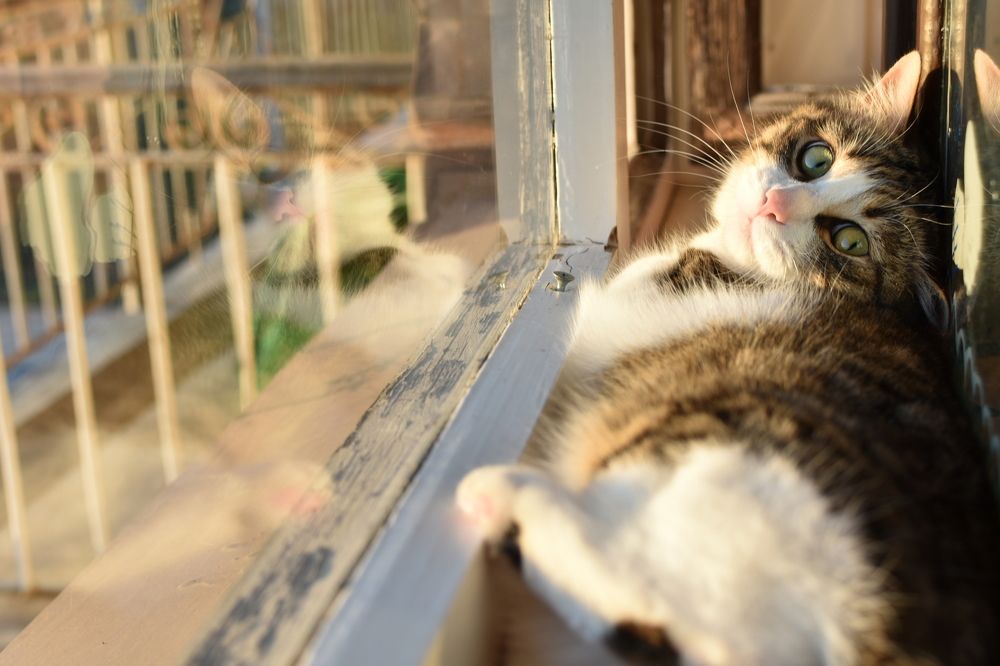 Photograph by Жасмин Сулиман