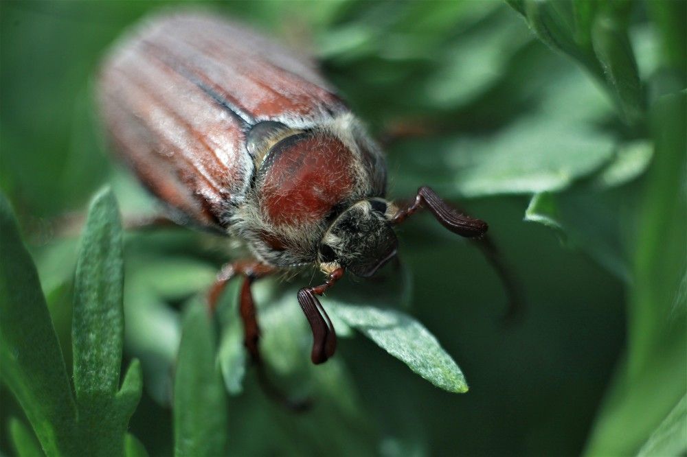 Photograph by Анастасия Рысь