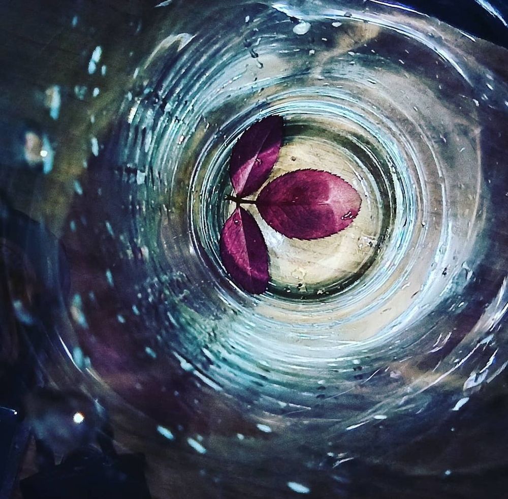 Photograph by Praveen