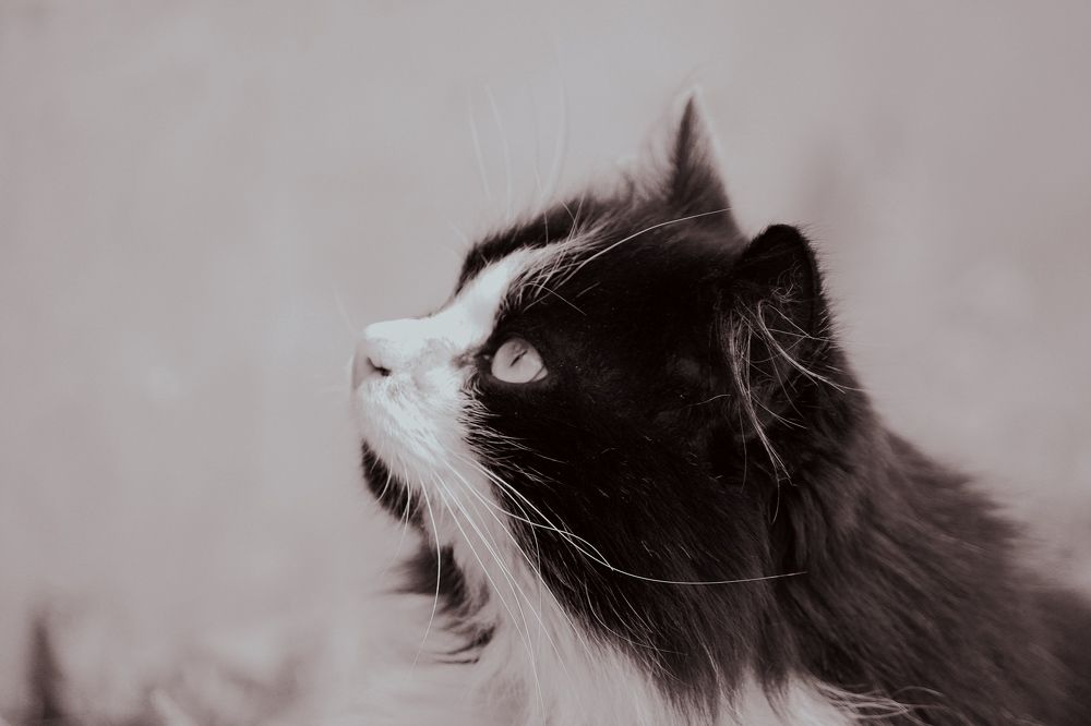 Photograph by Юлия Гаврильчик