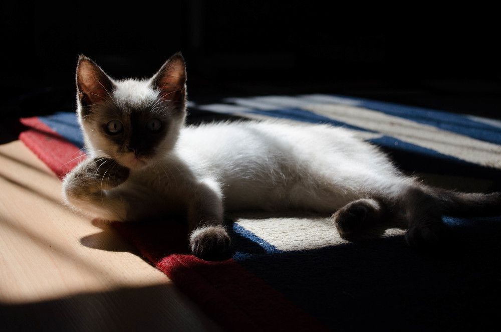 Photograph by Сергей