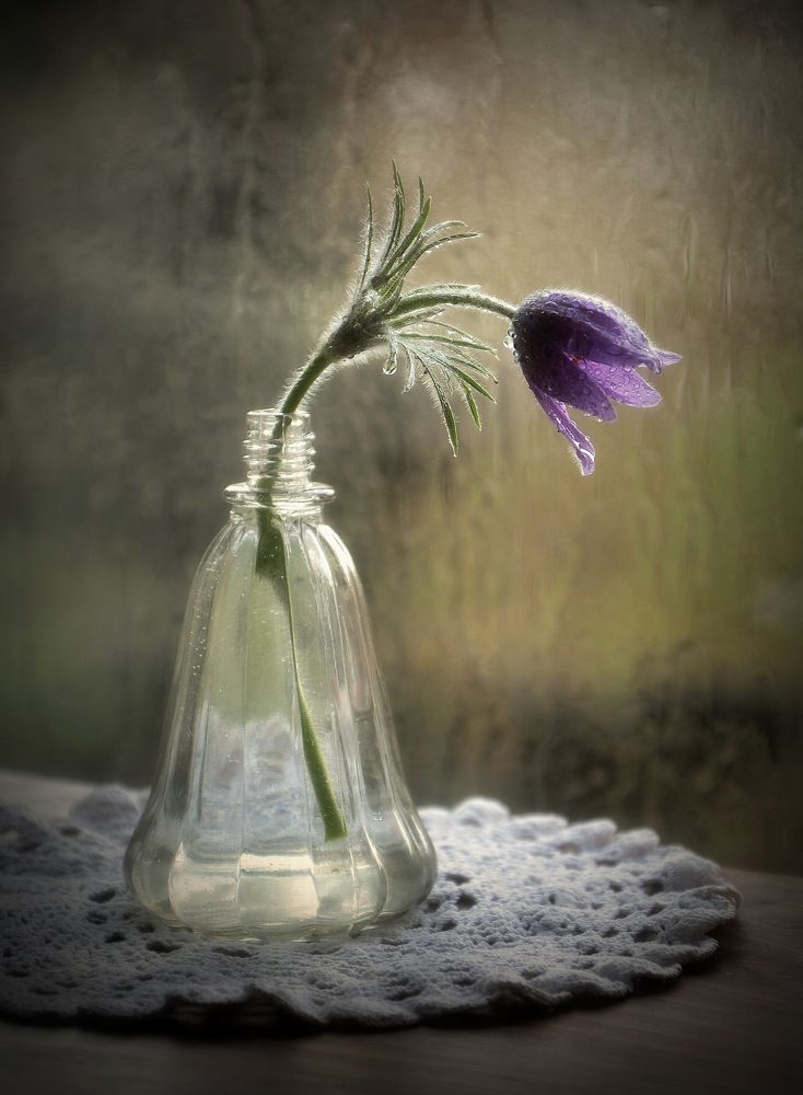 Цветок во флаконе