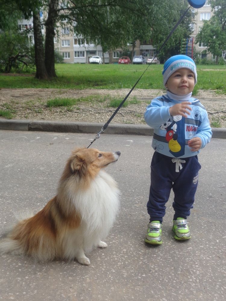 Photograph by Елена Любимцева