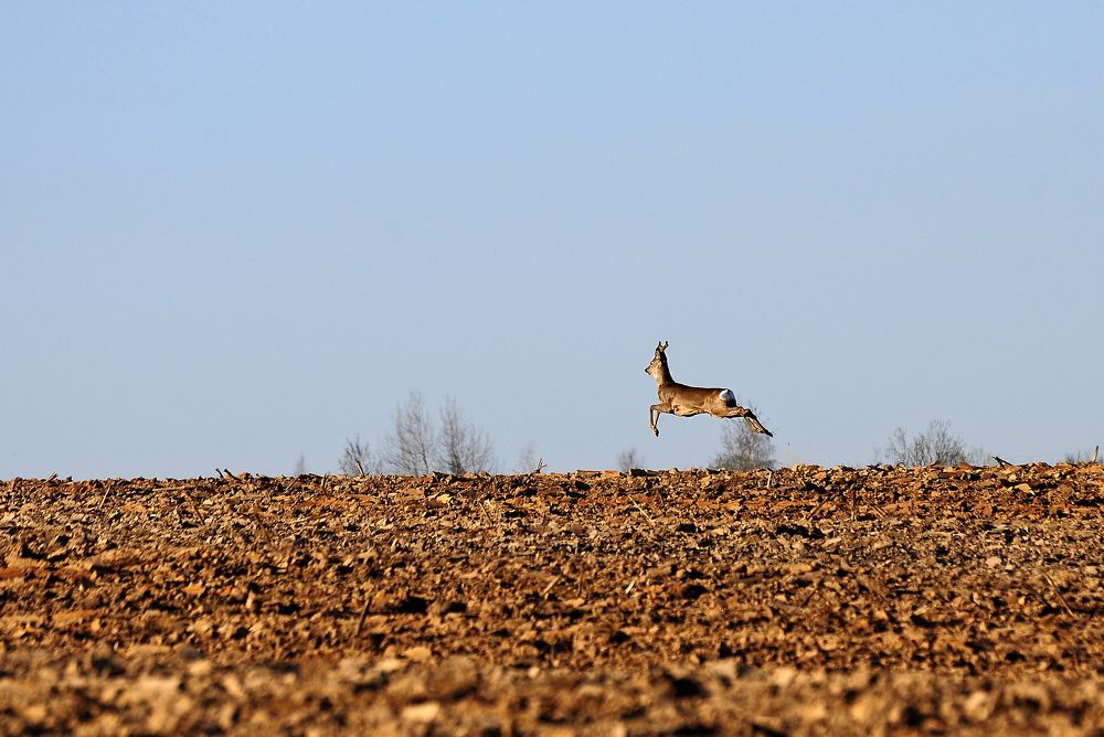 Фотография автора Антип