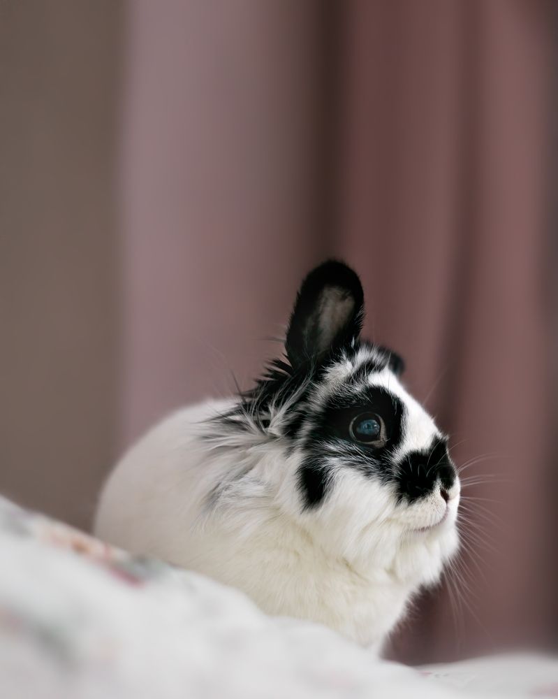 Photograph by Александр Соловьев