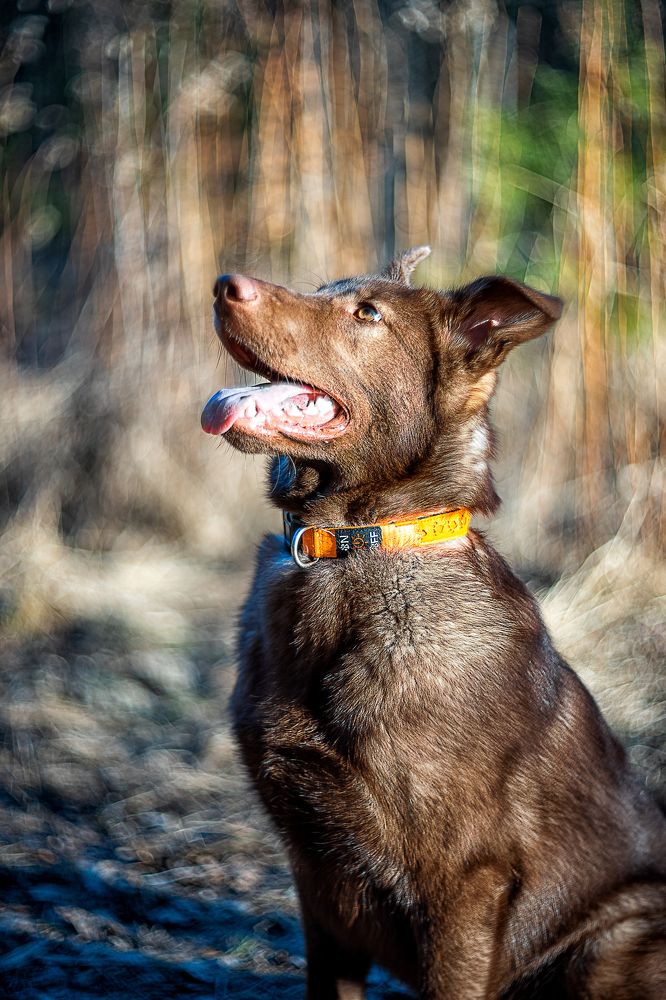 Photograph by Александр Соловьев