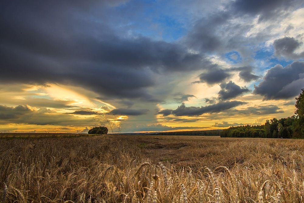 Photograph by Дмитрий Сундеев