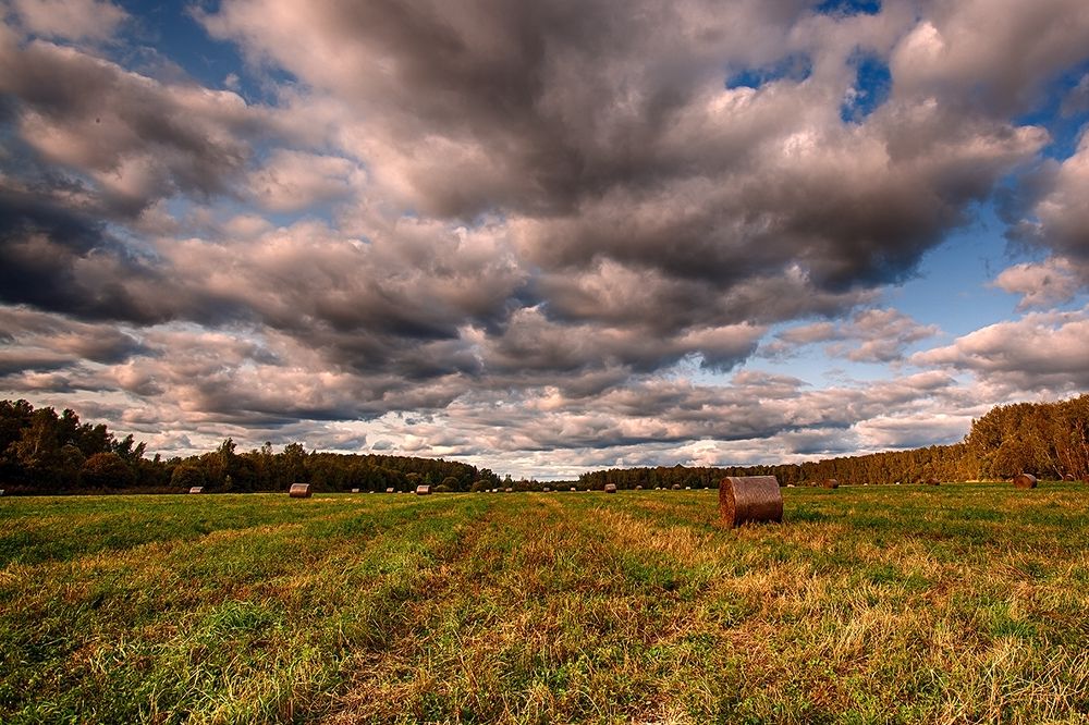 Photograph by Дмитрий Сундеев