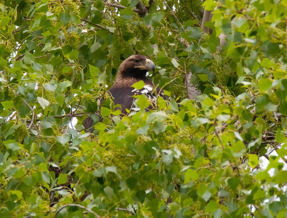 Photograph by Jesus Varas