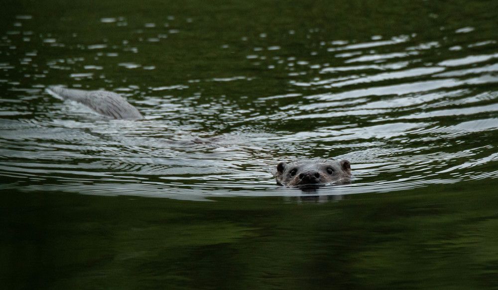 Photograph by Jesus Varas