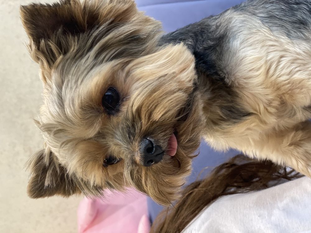 Photograph by Екатерина Амирасланова