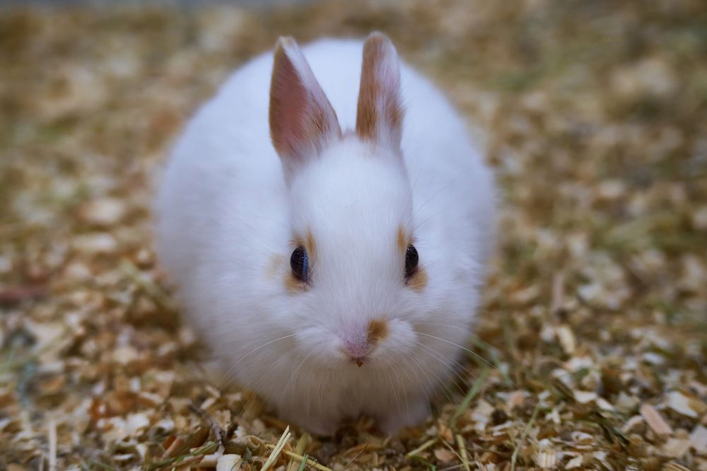 Photograph by Yuliya Khramova